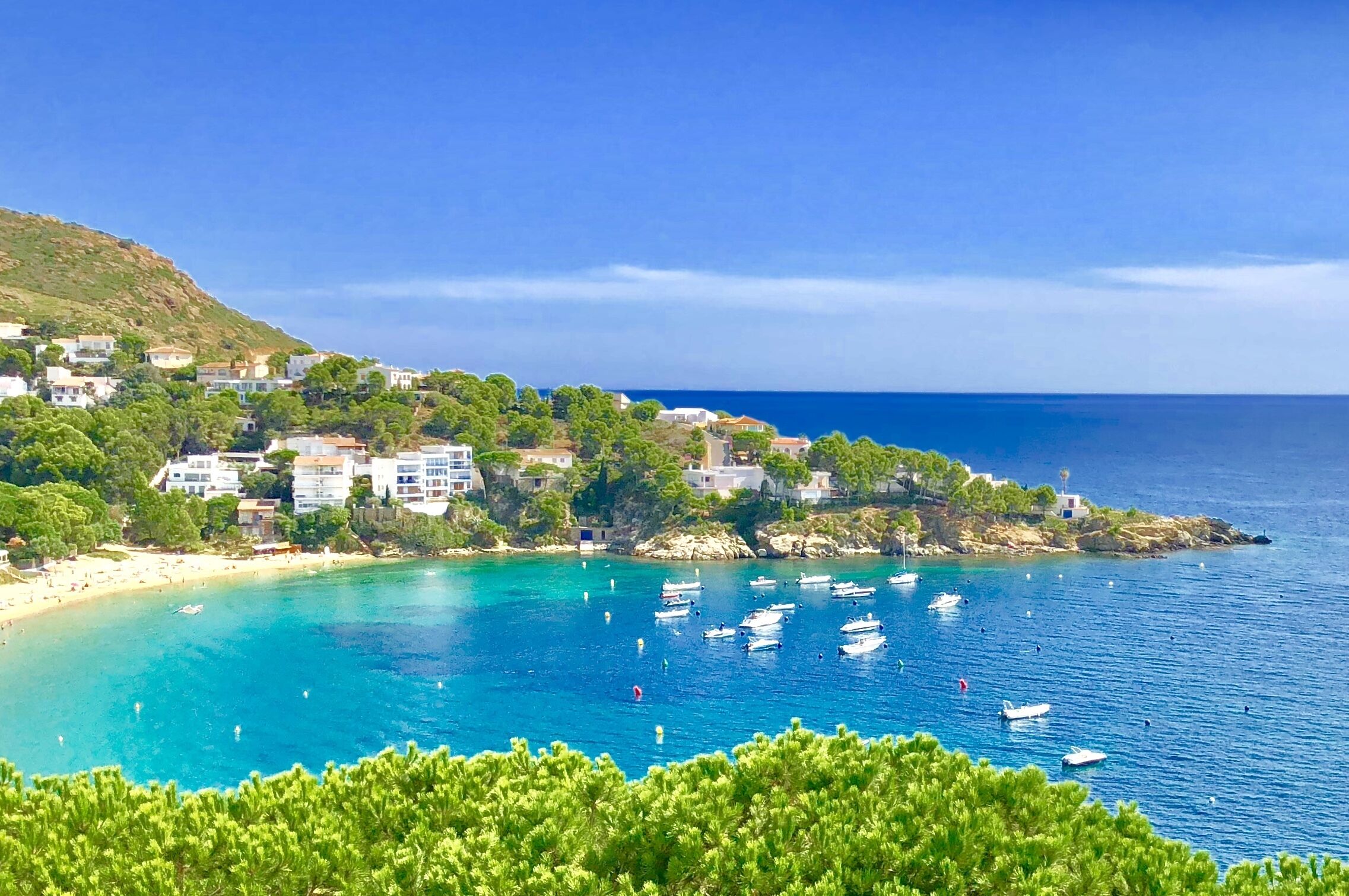 Suite | View from room