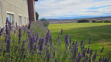 A modern building with a flat roof and large windows, surrounded by a field of lavender and a grassy landscape under a partly cloudy sky.