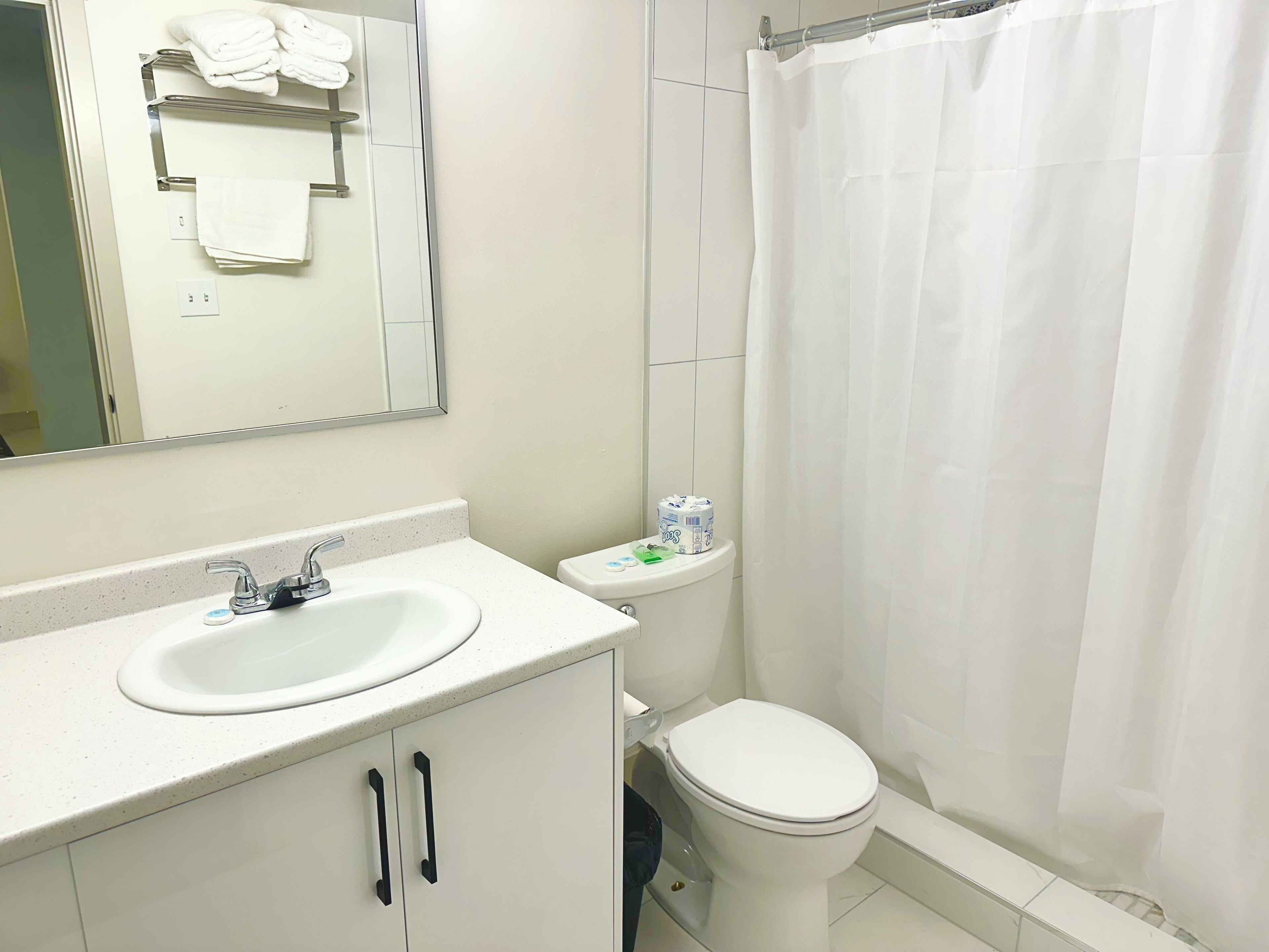Une salle de bain avec un lavabo blanc, des toilettes et un rideau de douche.