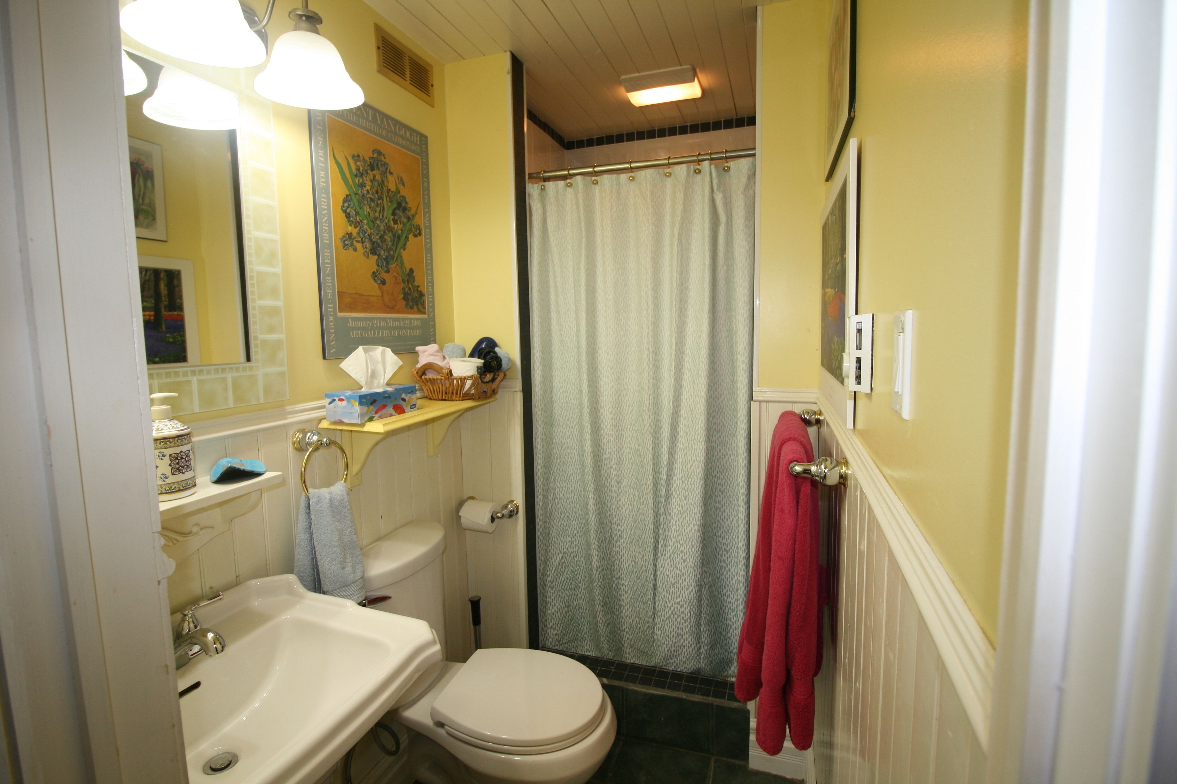 A bathroom with a sink, toilet, and shower curtain.
