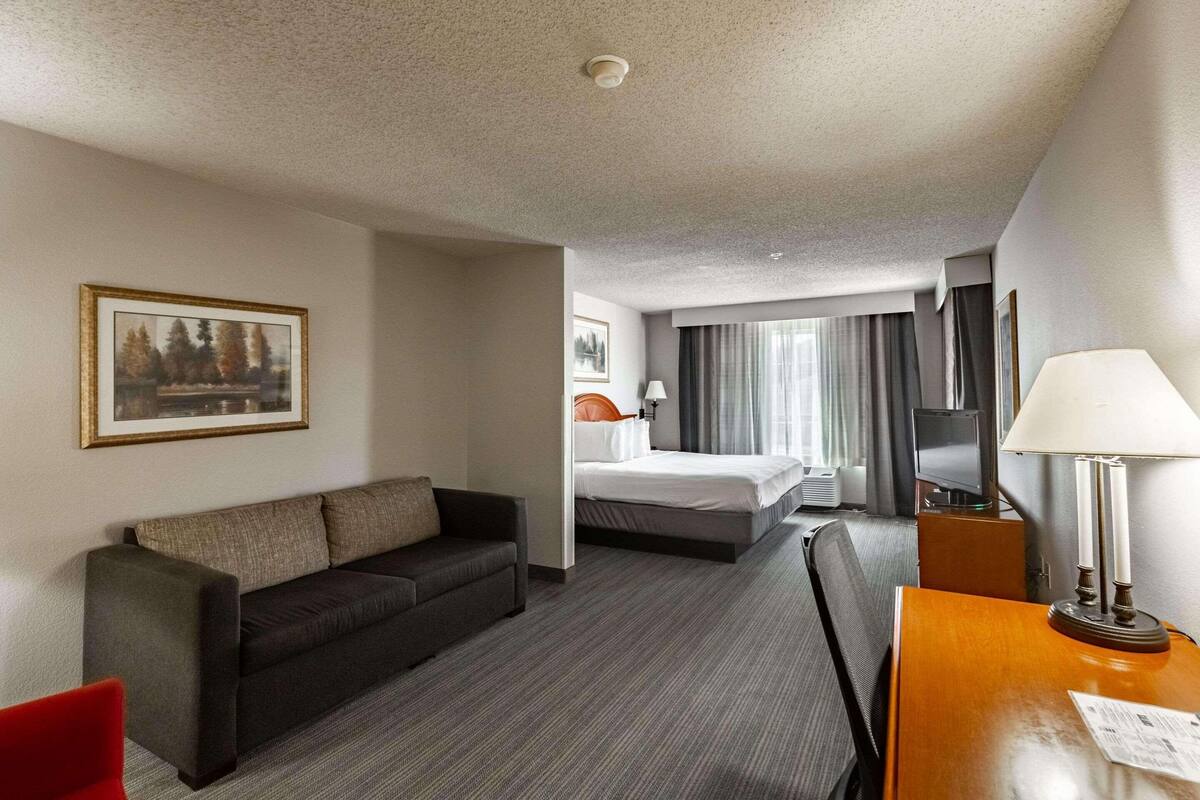 A hotel room with a sofa, a bed, a desk, a chair, a TV, and a lamp.