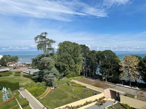 Superior Studio Suite, 1 King Bed, Kitchenette | Water view