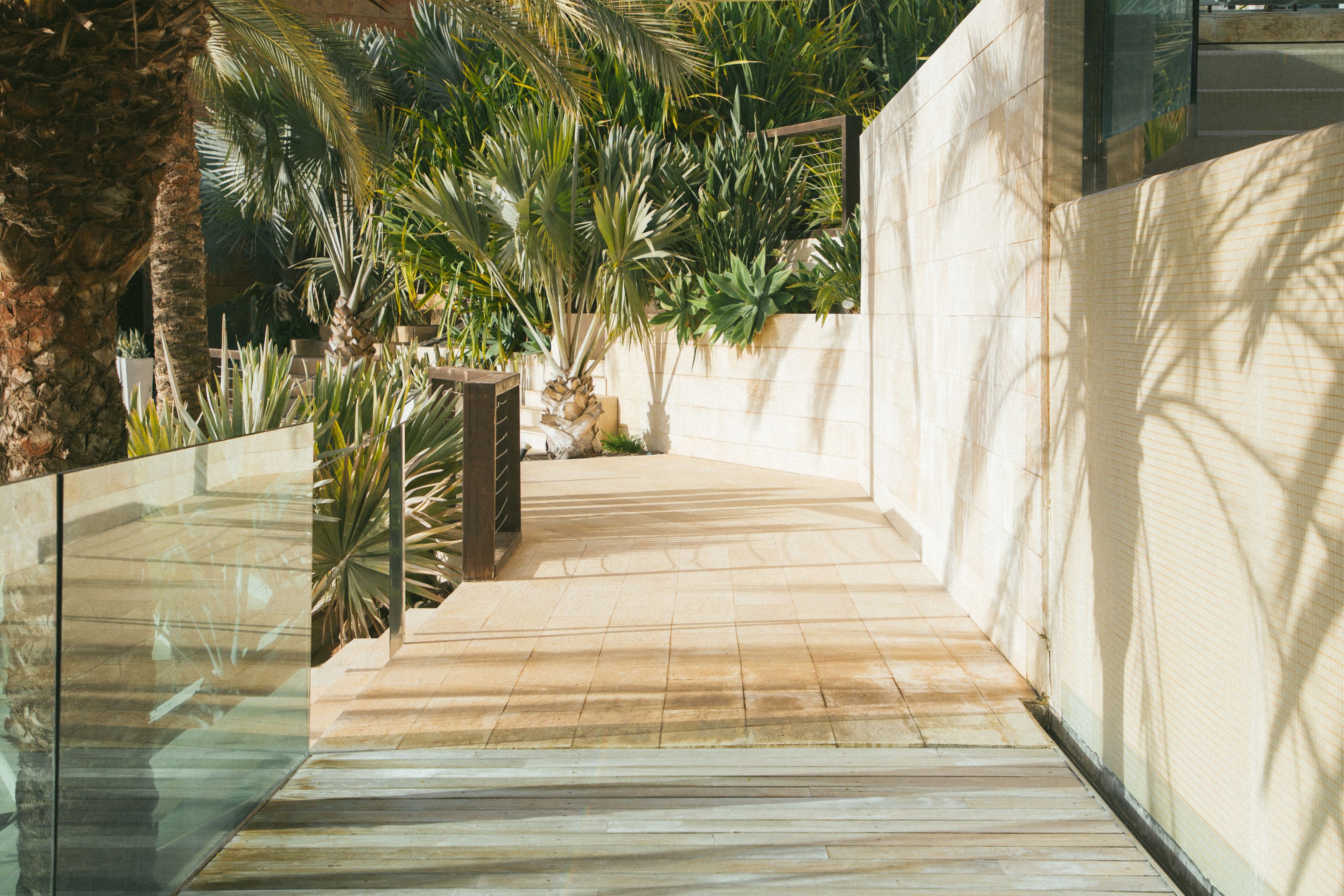 A modern outdoor pathway with a glass railing, surrounded by lush tropical plants and a palm tree.