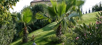 Hotel Villa Picena