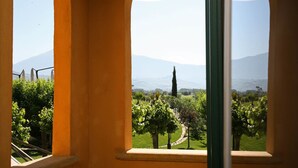 A view through a window with arches, featuring a vineyard and distant mountains. - Hotel Villa Picena (Colli del Tronto)