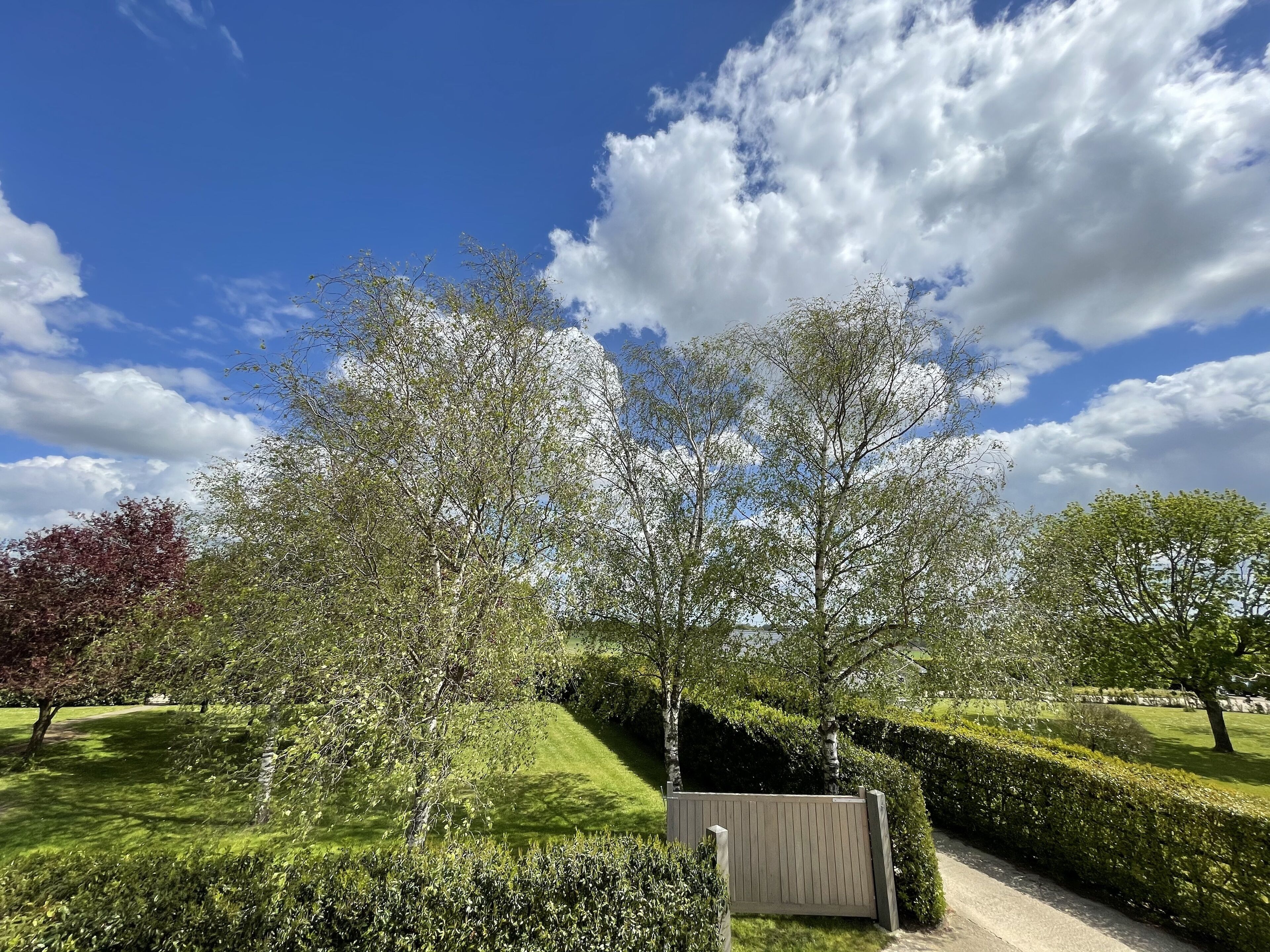 oak suite | view from room