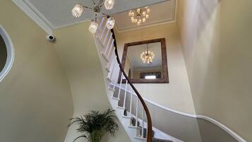 A staircase with a wooden handrail, a white wall with a decorative molding, and a potted plant at the bottom.