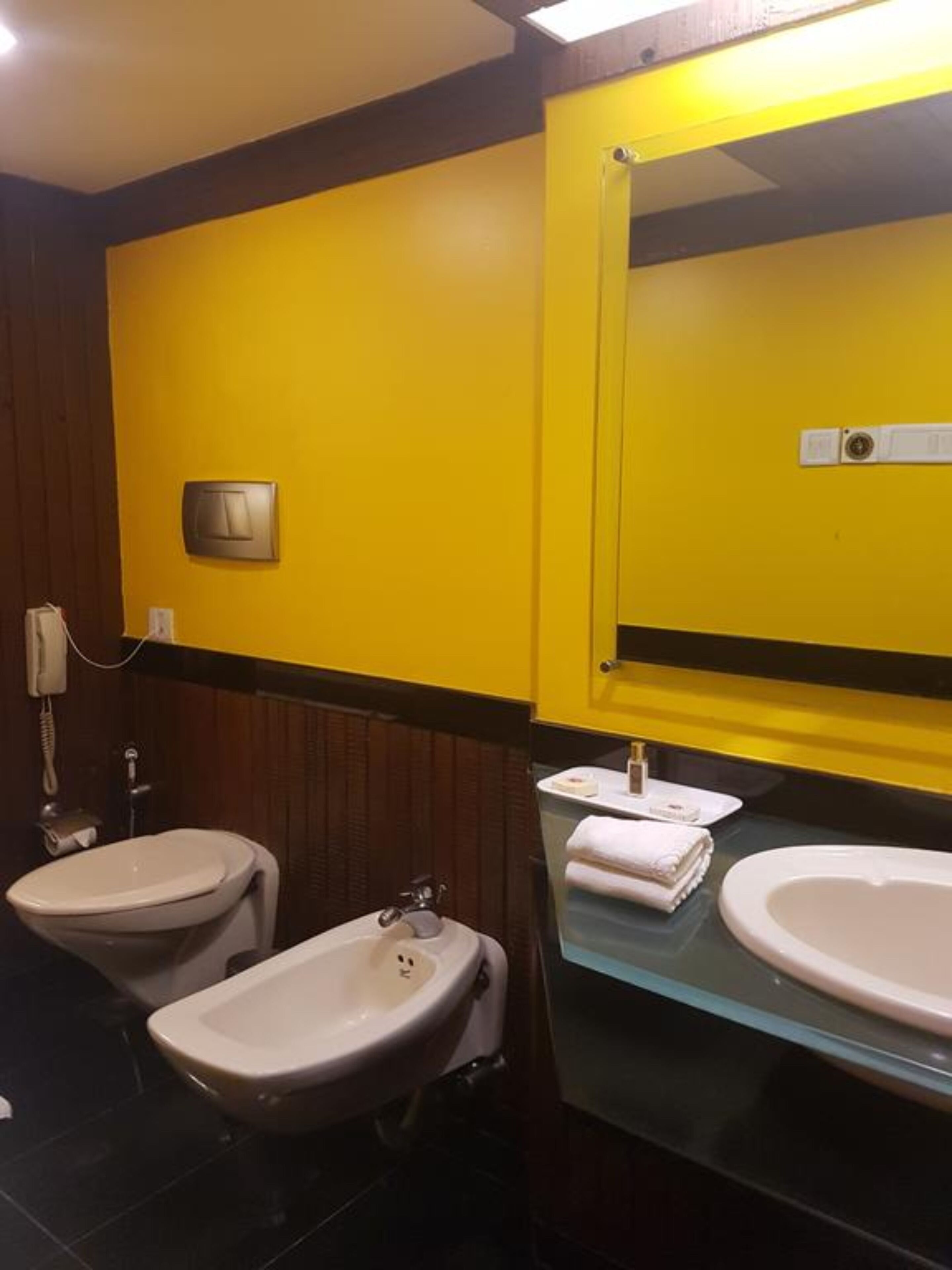A bathroom with two sinks, a mirror, and a toilet.