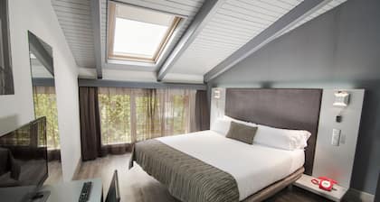 Petit Palace Plaza España