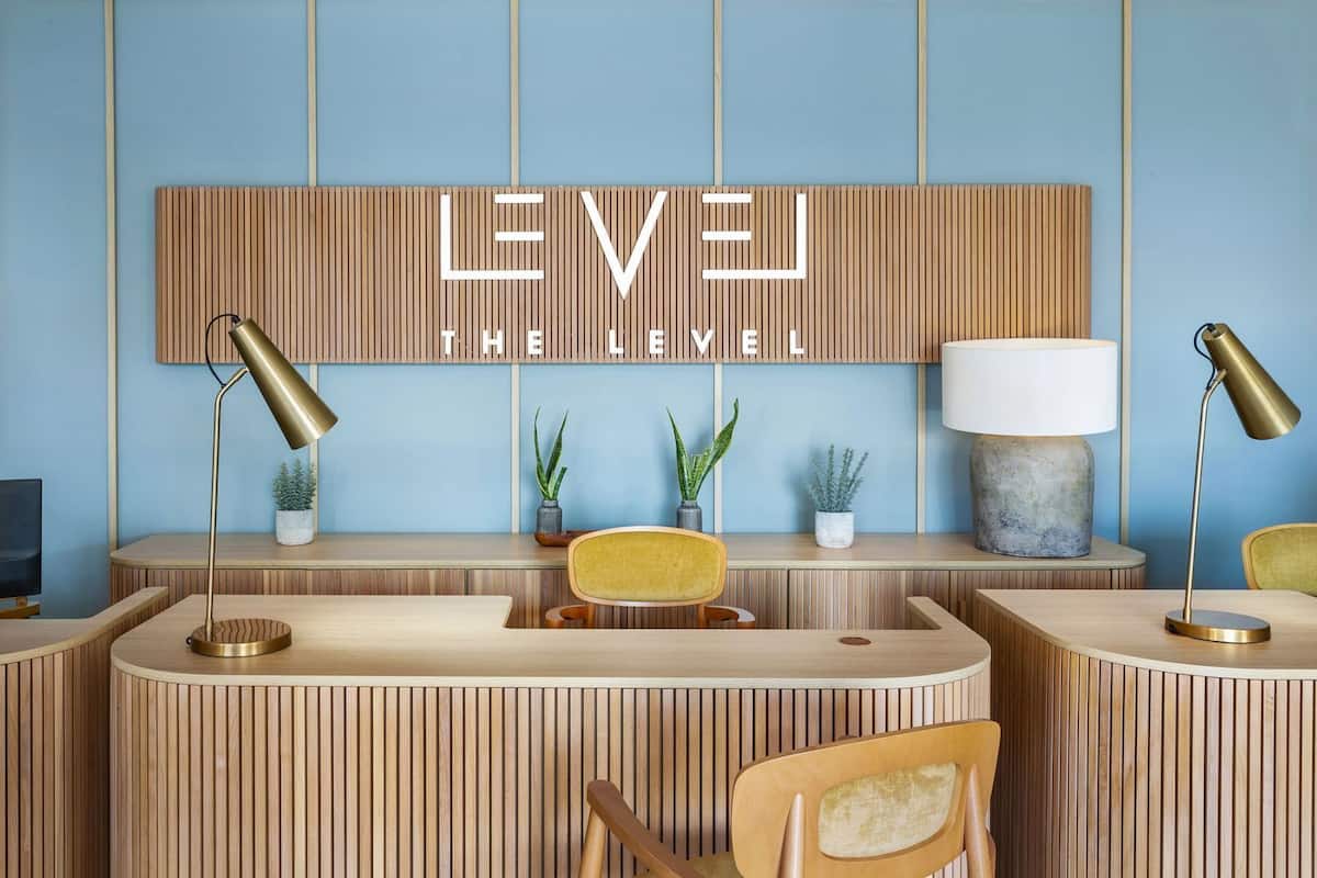 A reception desk with a wooden panel design, two lamps, and a potted plant.