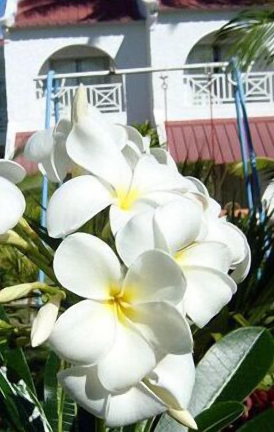 Photo - Ocean Villas Apart Hotel