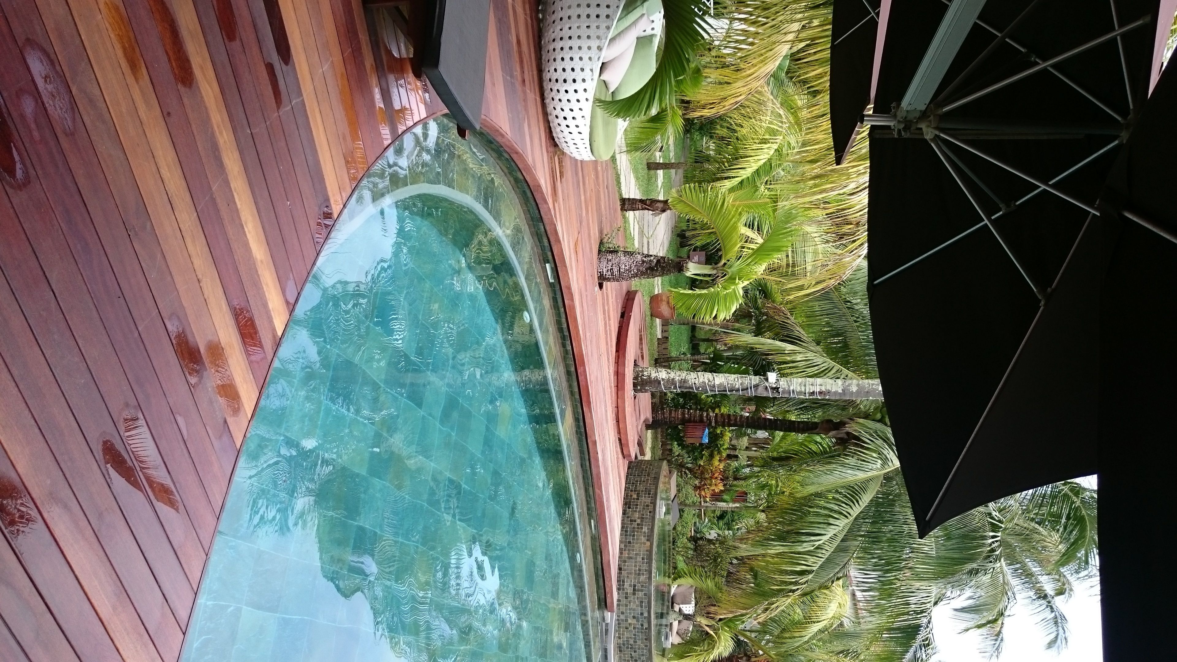 Zona de piscina con terraza de madera, palmeras y un cristal transparente que refleja el entorno.