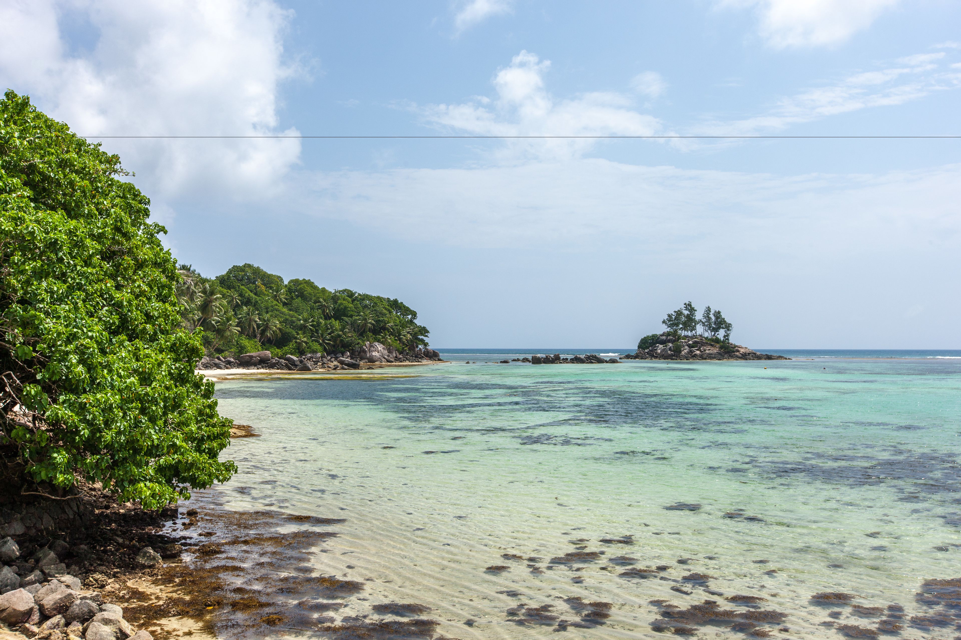 A beach with clear turquoise water, a sandy shore, and lush green vegetation.