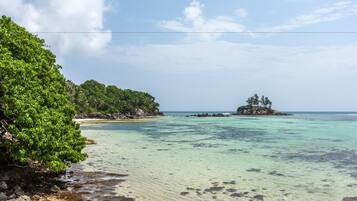 A beach with clear turquoise water, a sandy shore, and lush green vegetation.