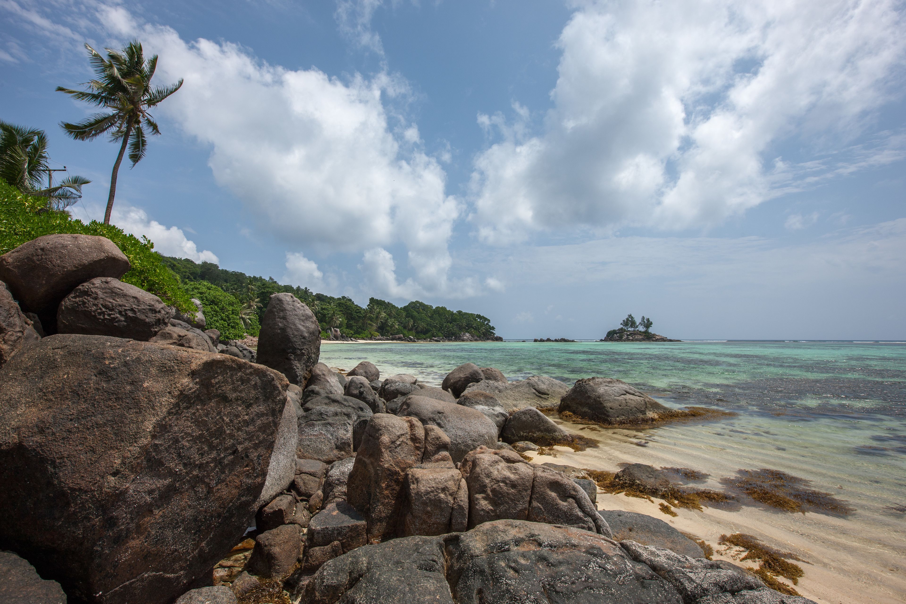 A rocky beach with large boulders, a palm tree, and a distant island.
