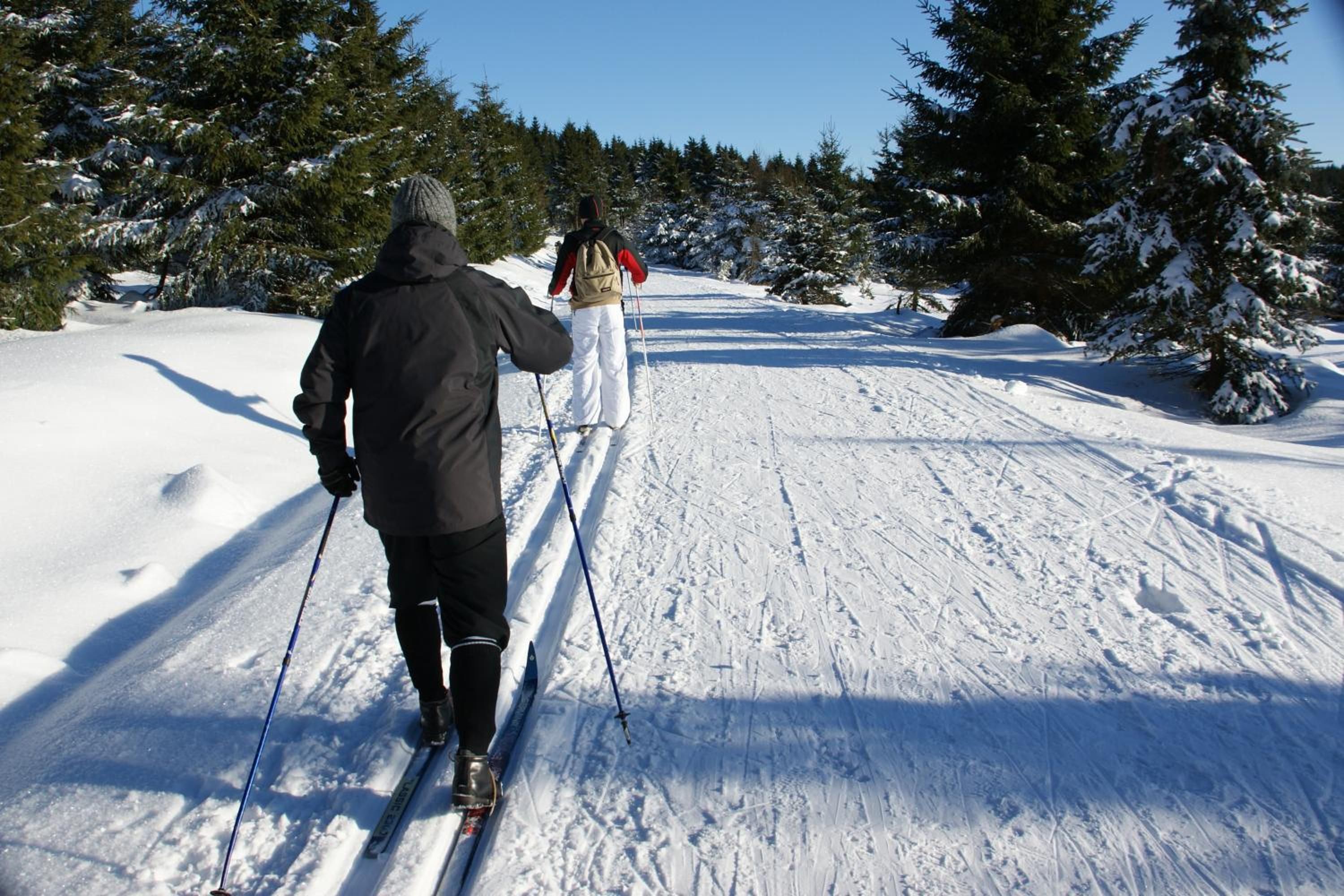 Two people cross-country skiing on a snow-covered path with trees on either side.