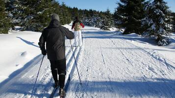 Two people cross-country skiing on a snow-covered path with trees on either side.
