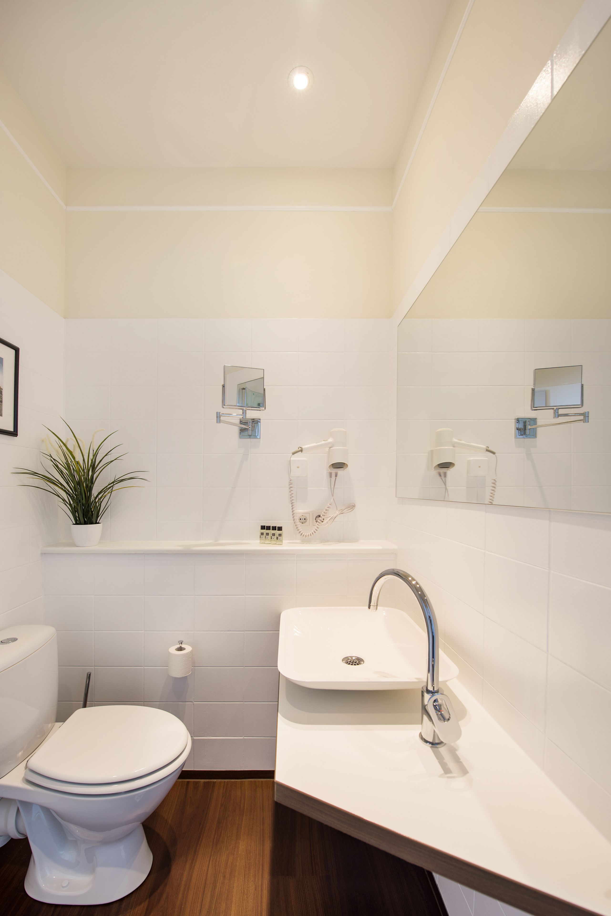 A modern bathroom with a white toilet, a sink with a mirror above it, and a potted plant on the counter.