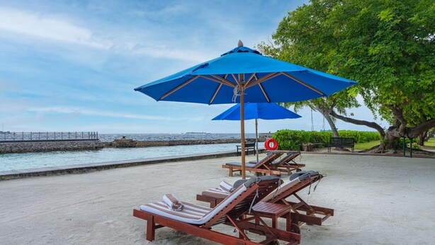 Una playa con sillas de madera, una sombrilla azul, un flotador salvavidas y un banco cerca del agua.