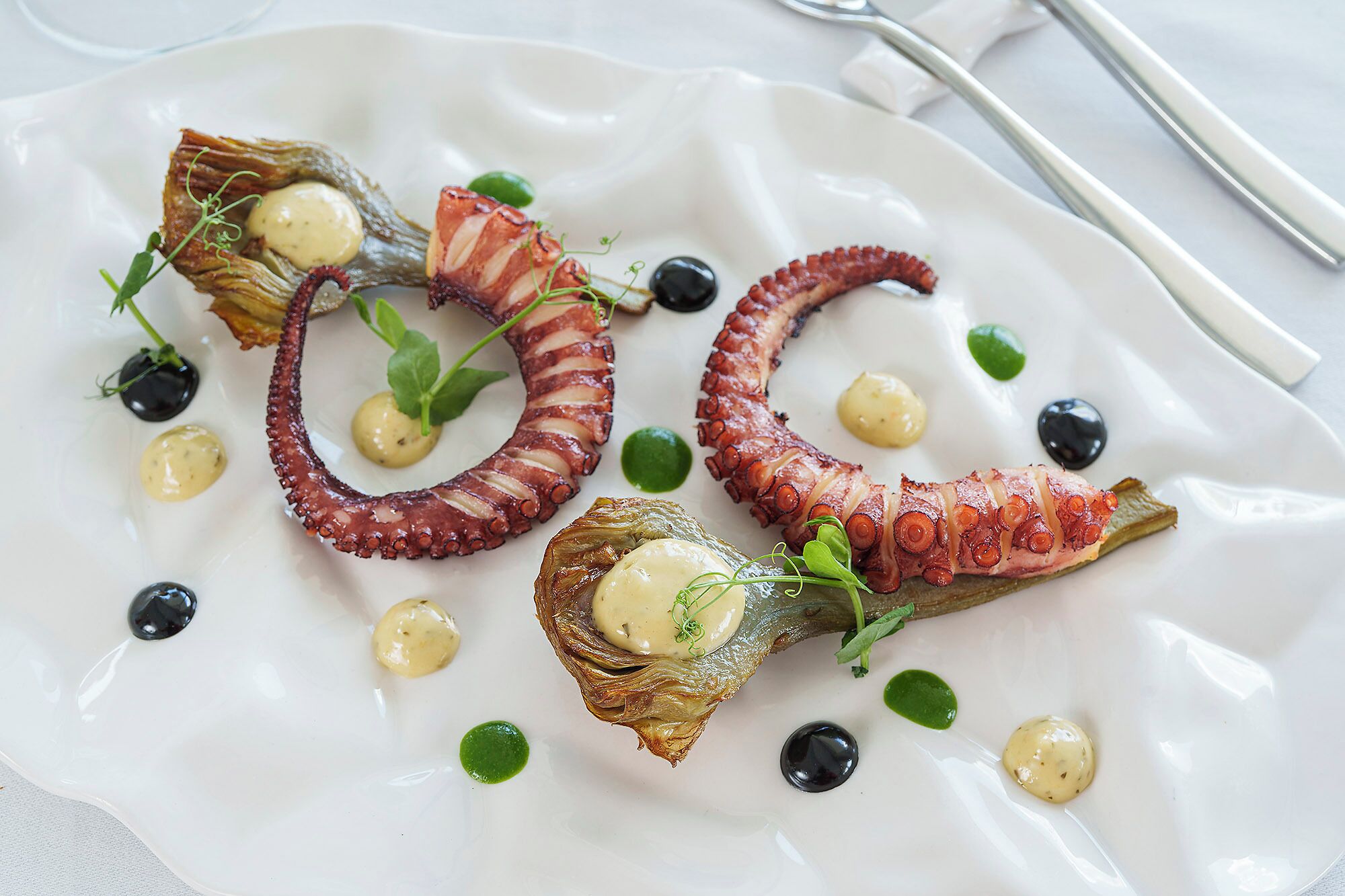 Un plato blanco con tentáculos de pulpo y pequeñas hojas verdes.