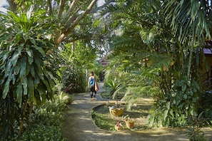 Deluxe Beach Wing | Living area | TV - Natural Wing Health Spa & Resort (Koh Samui)