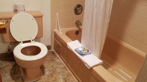 Separate tub and shower, hair dryer