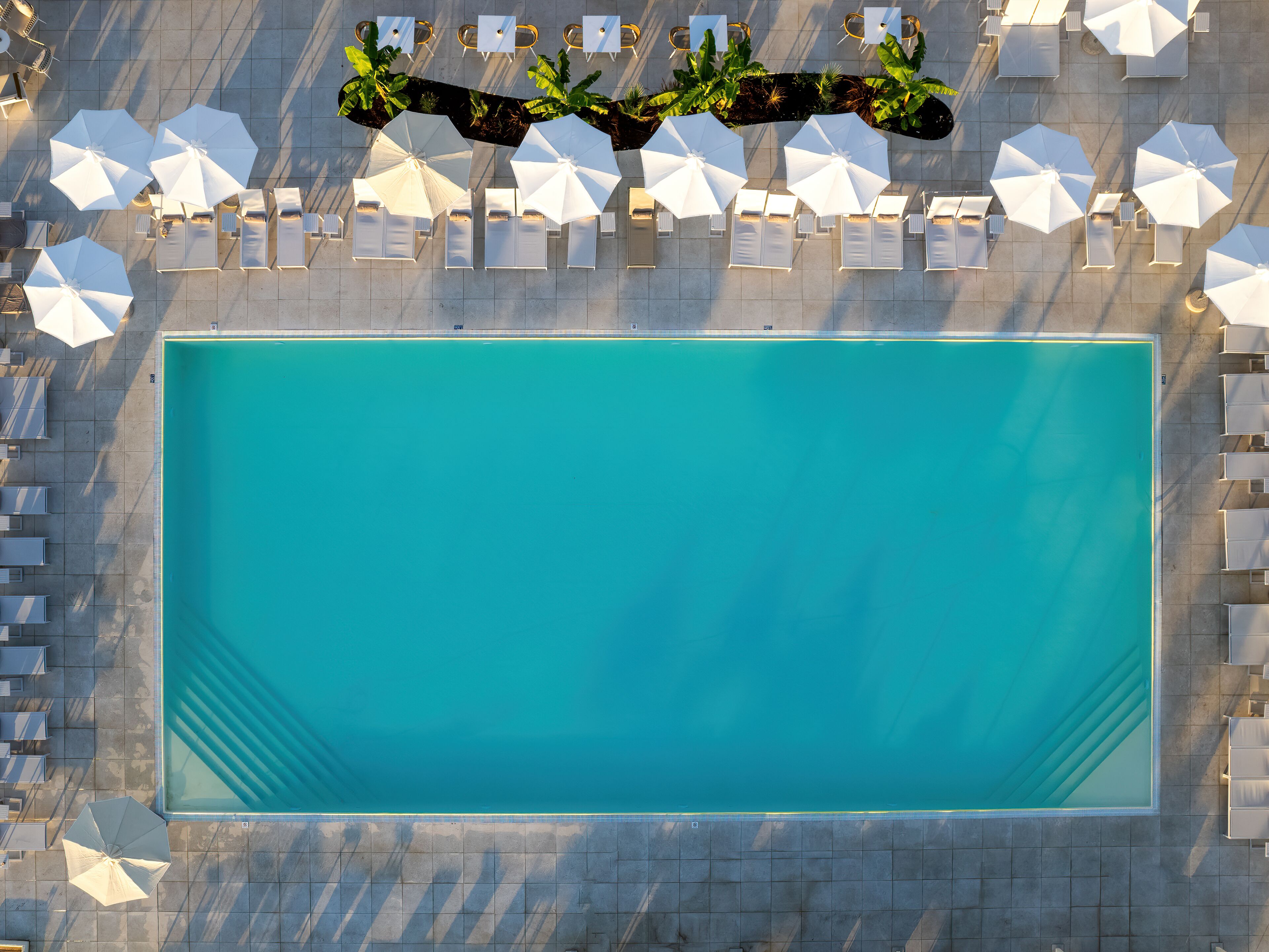 Una piscina rectangular rodeada de sillas reclinables y sombrillas blancas, con un paseo empedrado alrededor.