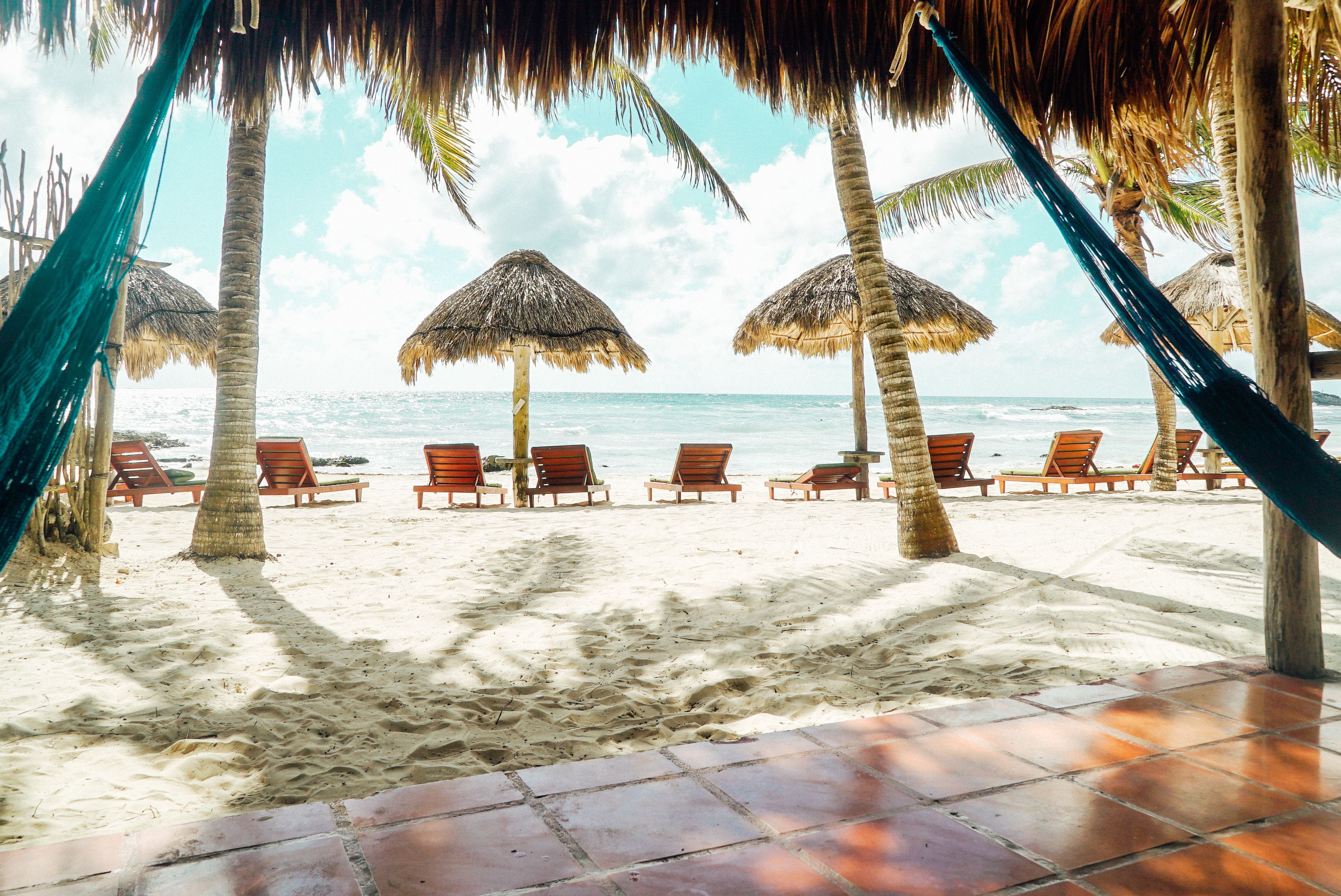 A beach with thatched umbrellas, wooden lounge chairs, and palm trees.