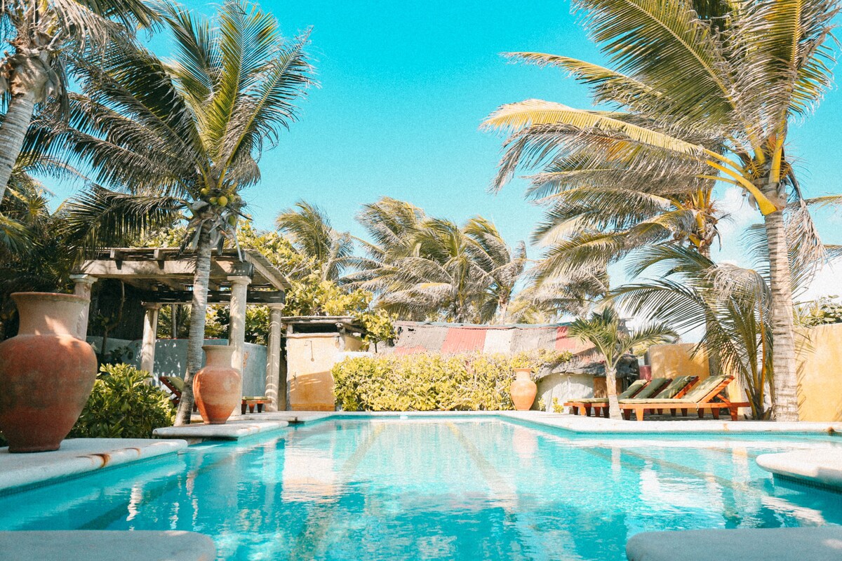 pool area od Zamas Hotel, with green sun loungers and coconut trees