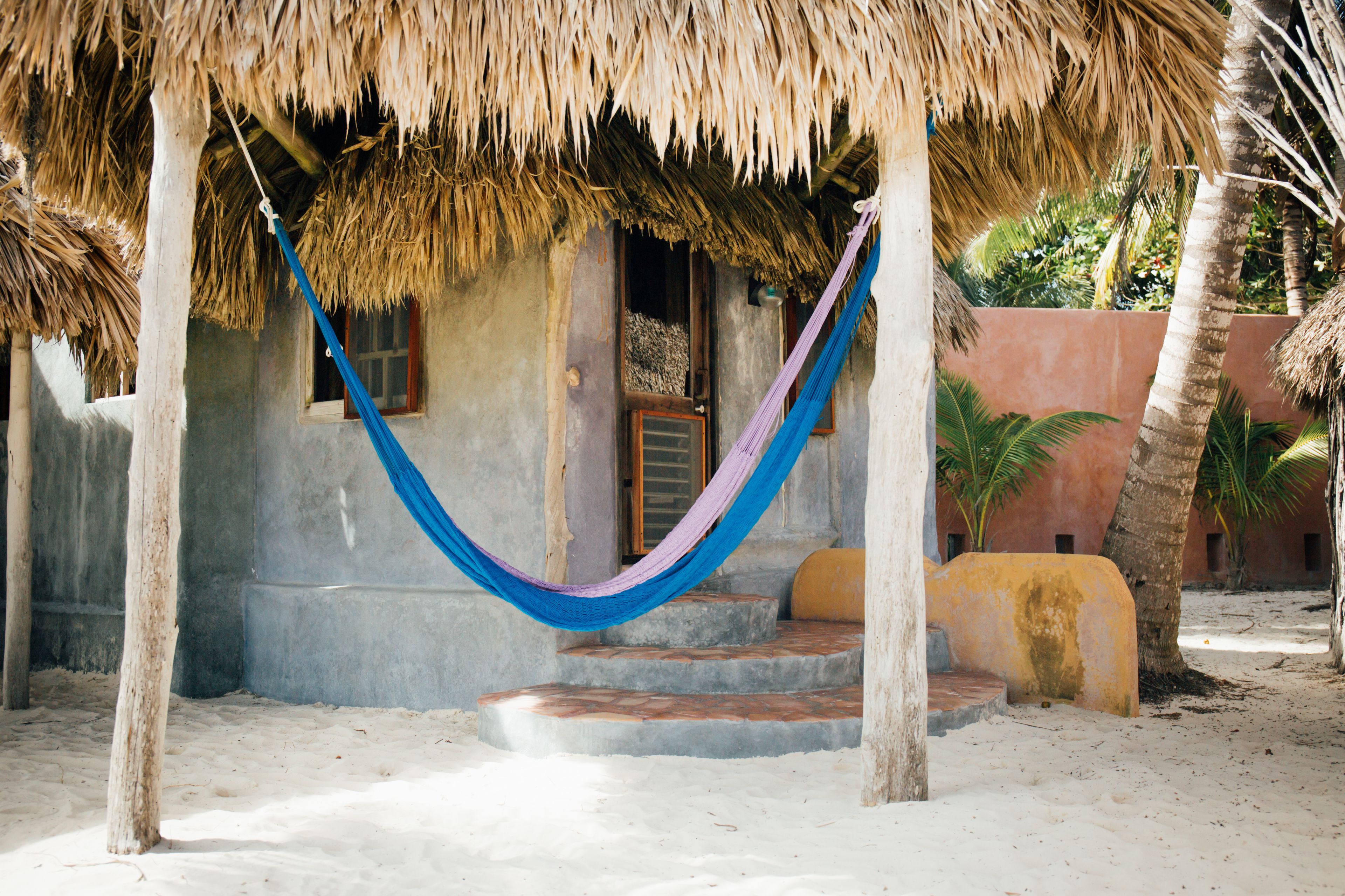 A thatched-roof structure with a hammock, steps leading to a door, and a palm tree in the background.
