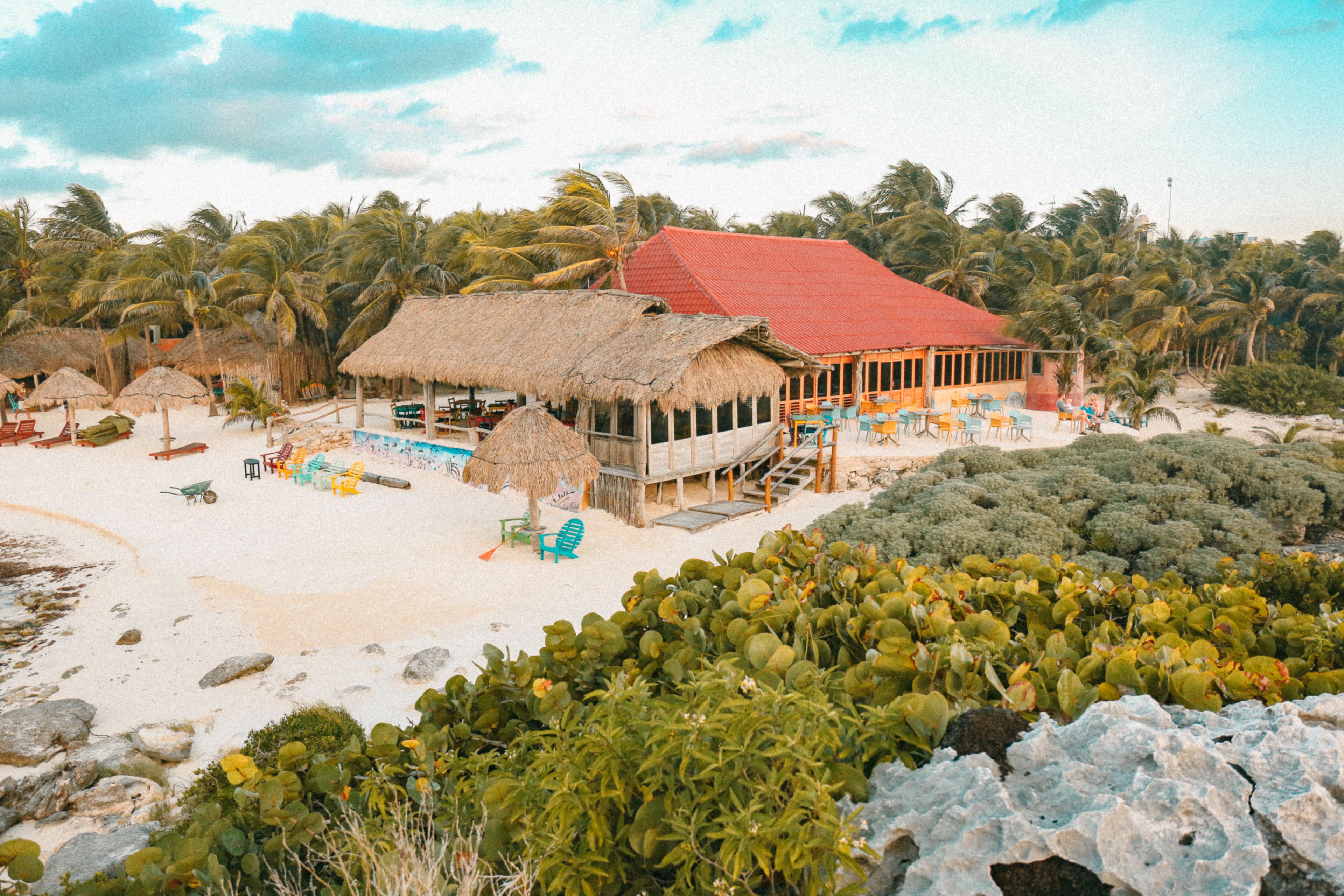 Un bâtiment situé en bord de mer, avec un toit rouge, entouré de palmiers et de cactus, doté d’un espace extérieur aménagé et d’une structure à toit de chaume.