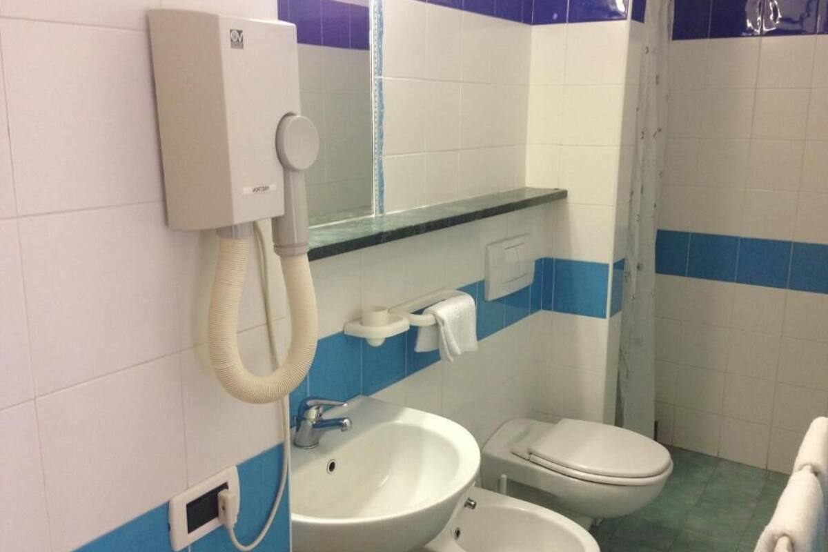 shower, free toiletries, hair dryer, bidet