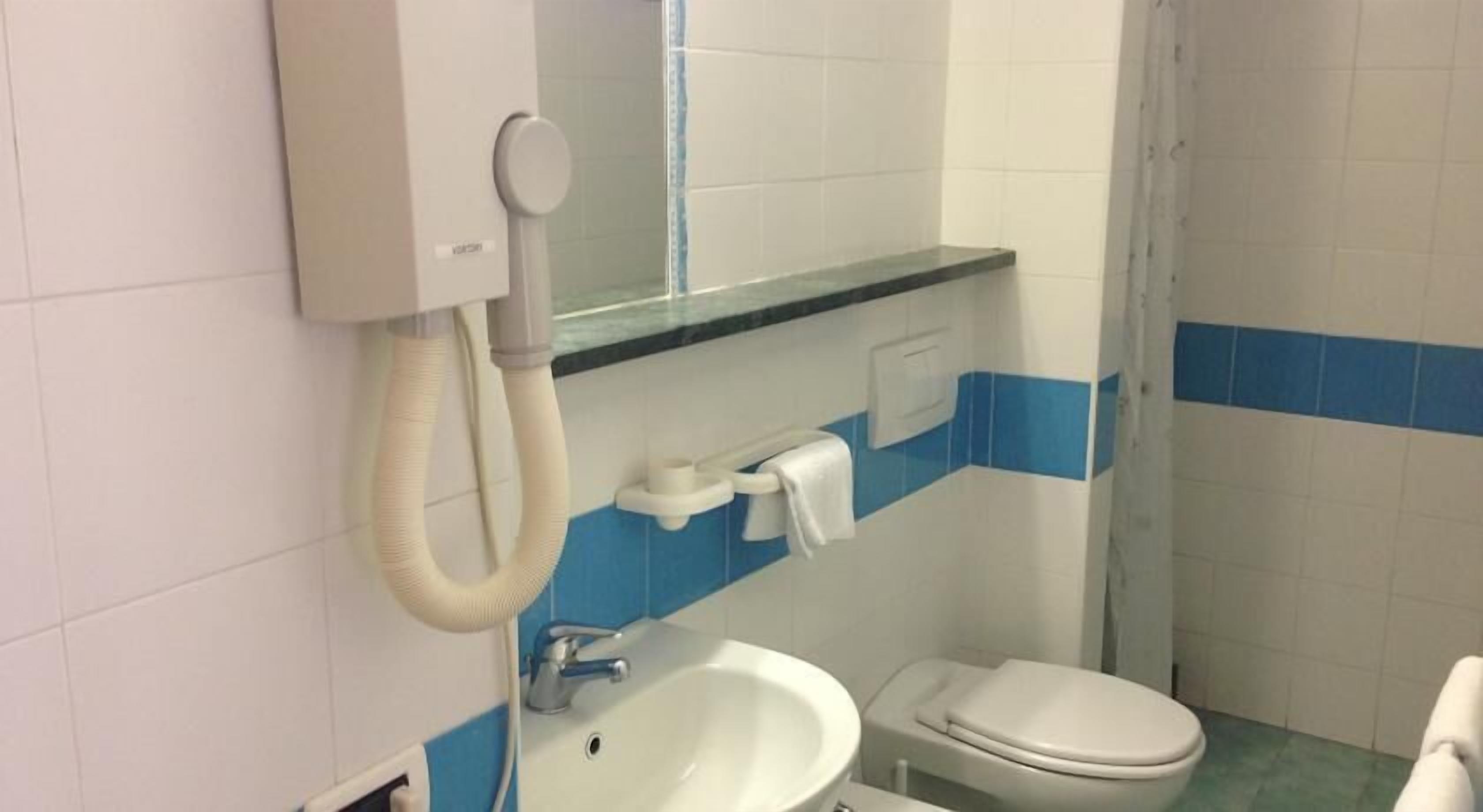 shower, free toiletries, hair dryer, bidet