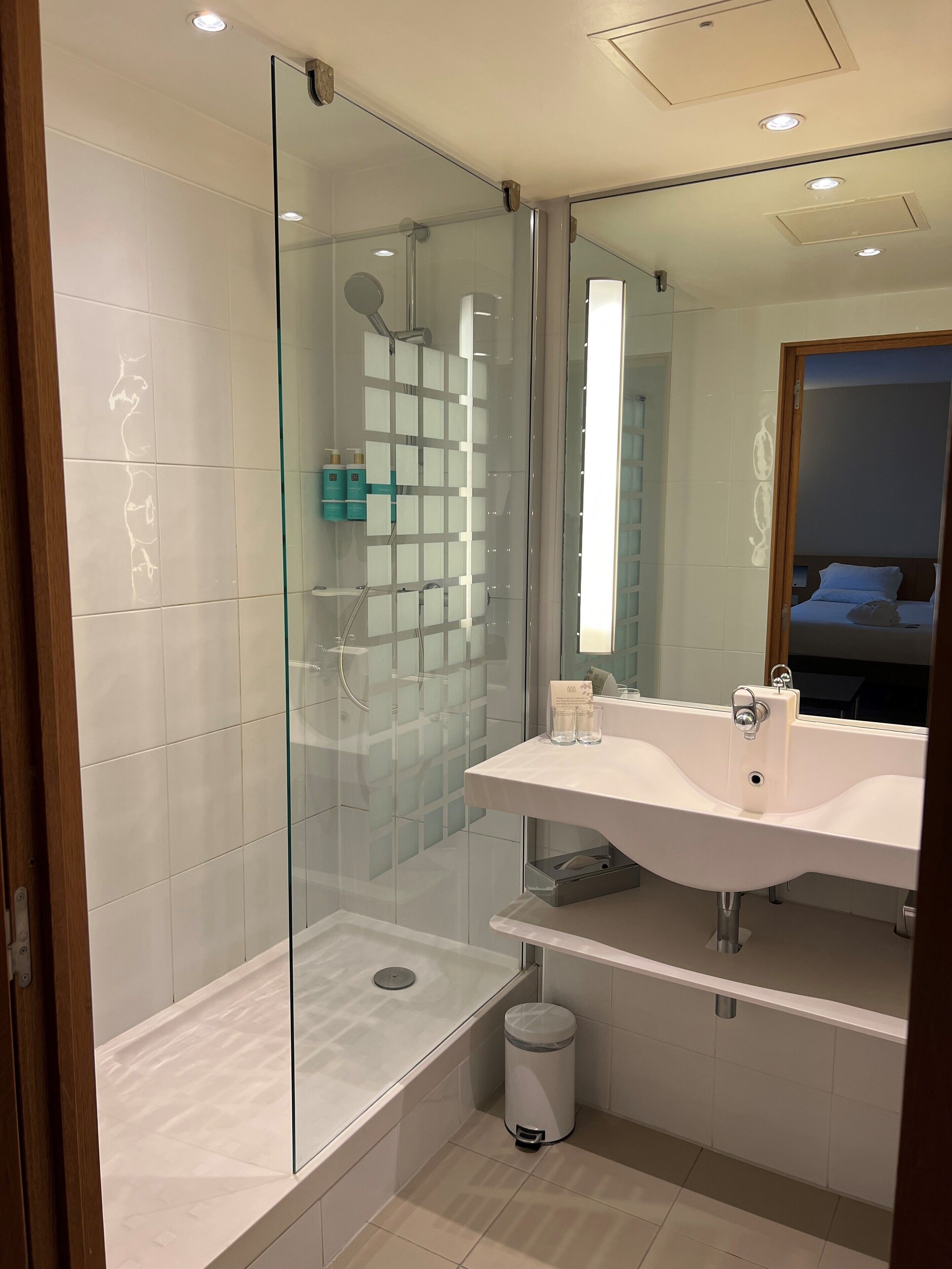 executive room, 1 queen bed | bathroom | separate bathtub and shower, eco-friendly toiletries, hair dryer, towels