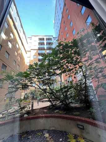 Jardín. Novotel Reading Centre