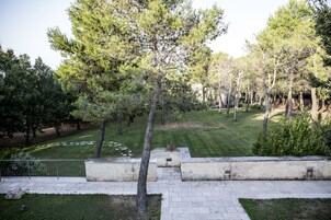 Un jardín ajardinado con un sendero pavimentado, árboles y una zona verde.
