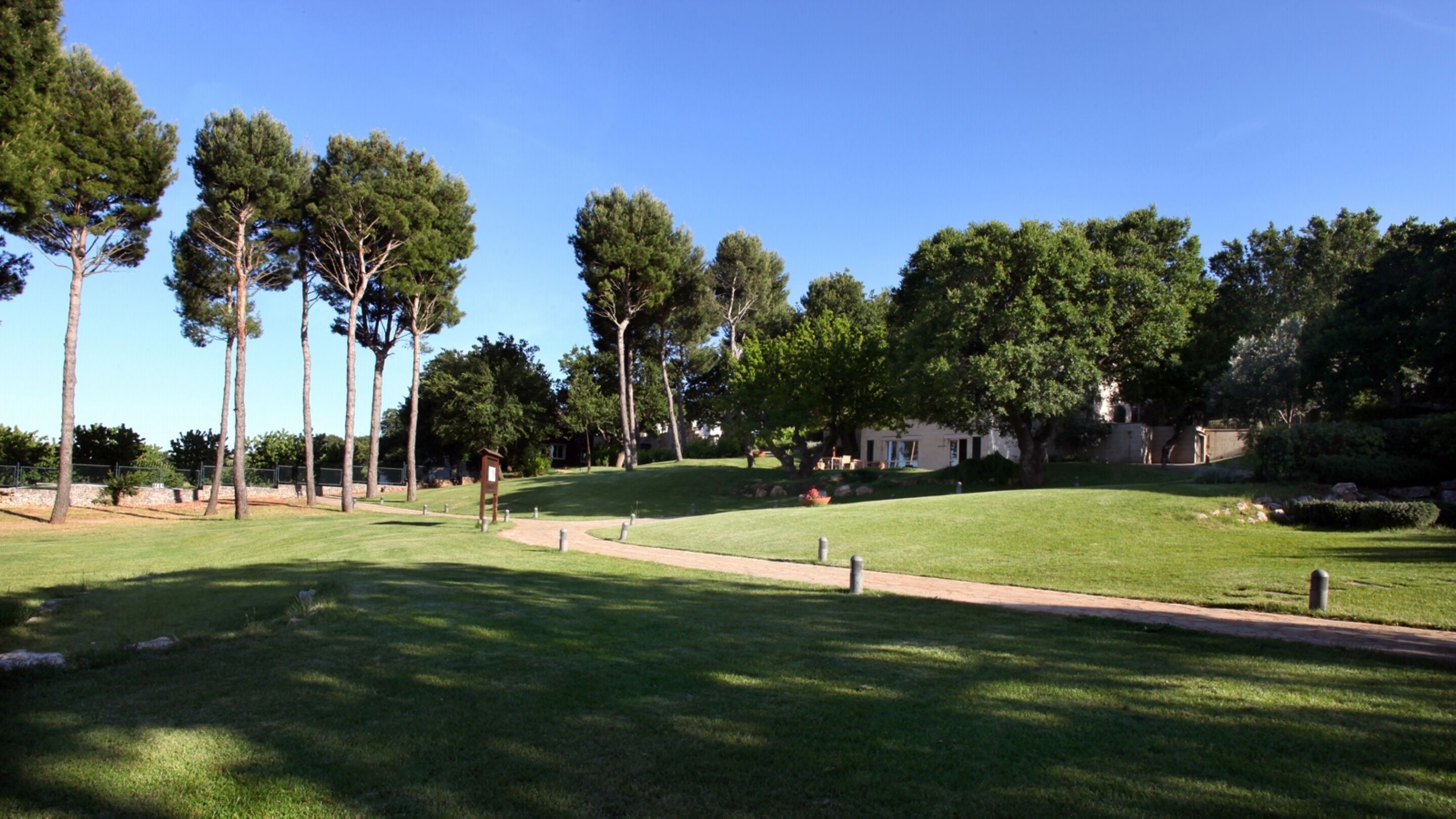 Un'area verde ben curata con un sentiero ben definito, circondata da alberi alti e un edificio sullo sfondo.