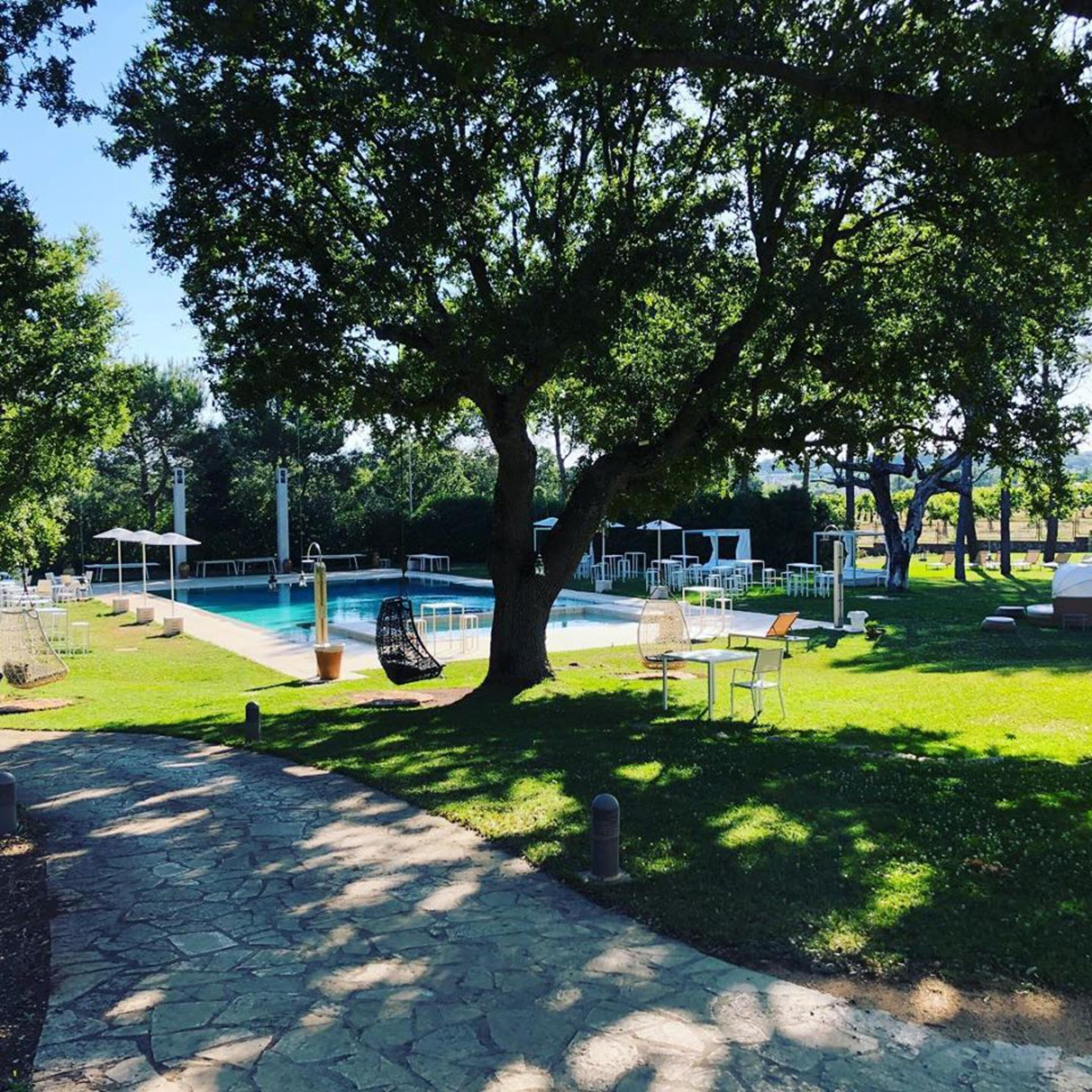 Un área de piscina con un árbol grande, sillas de descanso y cielo despejado.