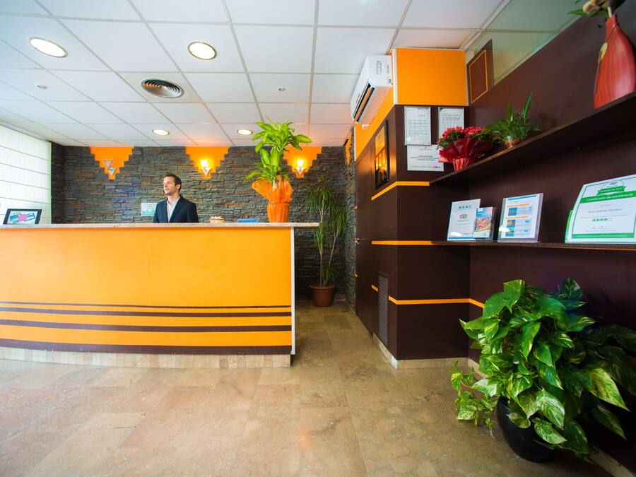 Zona de recepción con pared de piedra, una recepcionista y plantas en macetas.