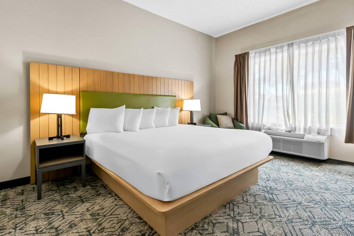 Room, 1 King Bed, Non Smoking