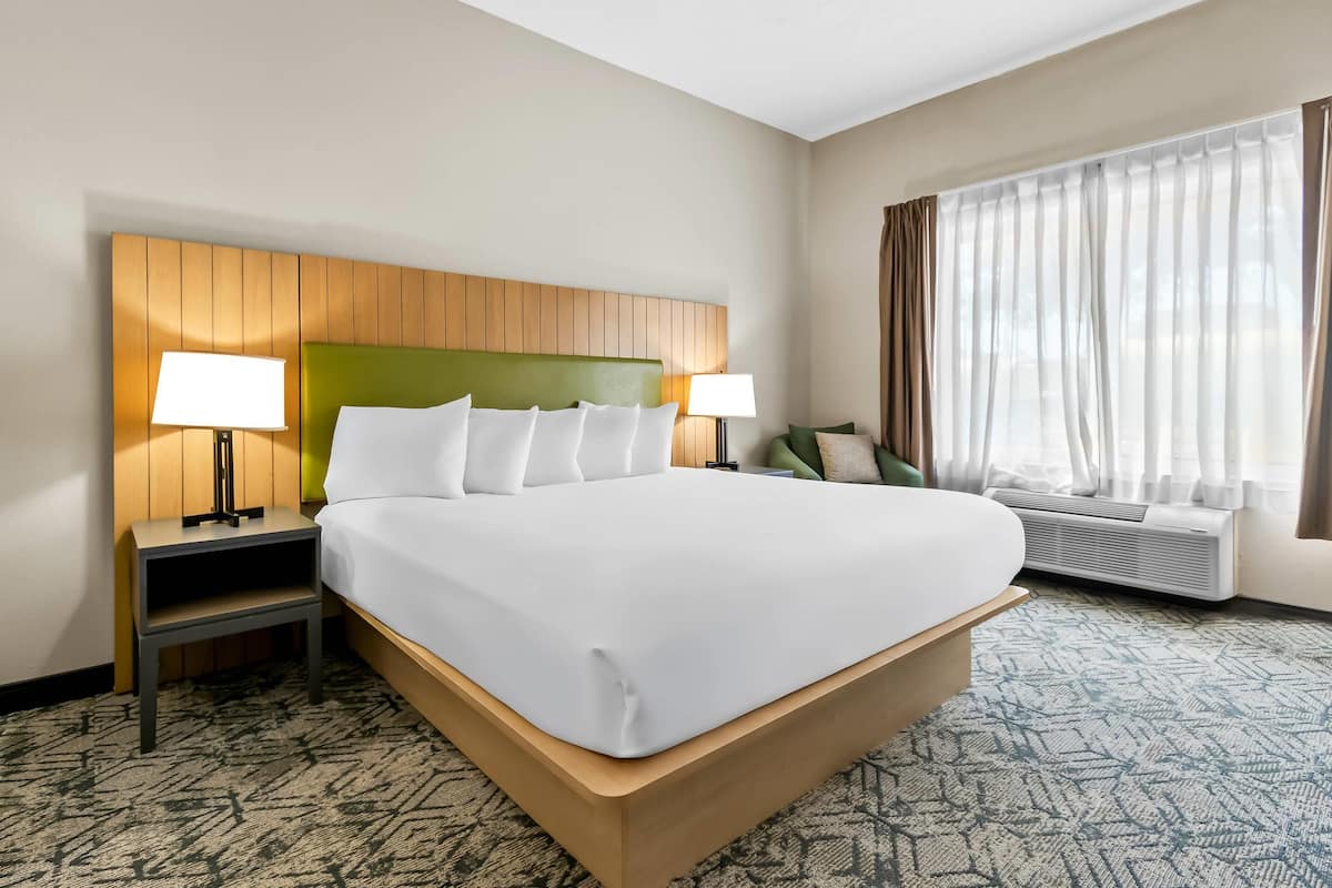 Room, 1 King Bed, Non Smoking | 1 bedroom, premium bedding, desk, laptop workspace
