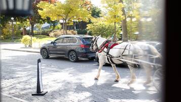 A horse-drawn carriage on a paved street with a car parked nearby.