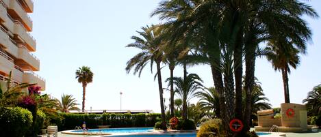 Jardin