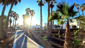 A pathway lined with palm trees and a brick walkway leading to a building with a white facade. - Palmeras Garden (Yaiza)
