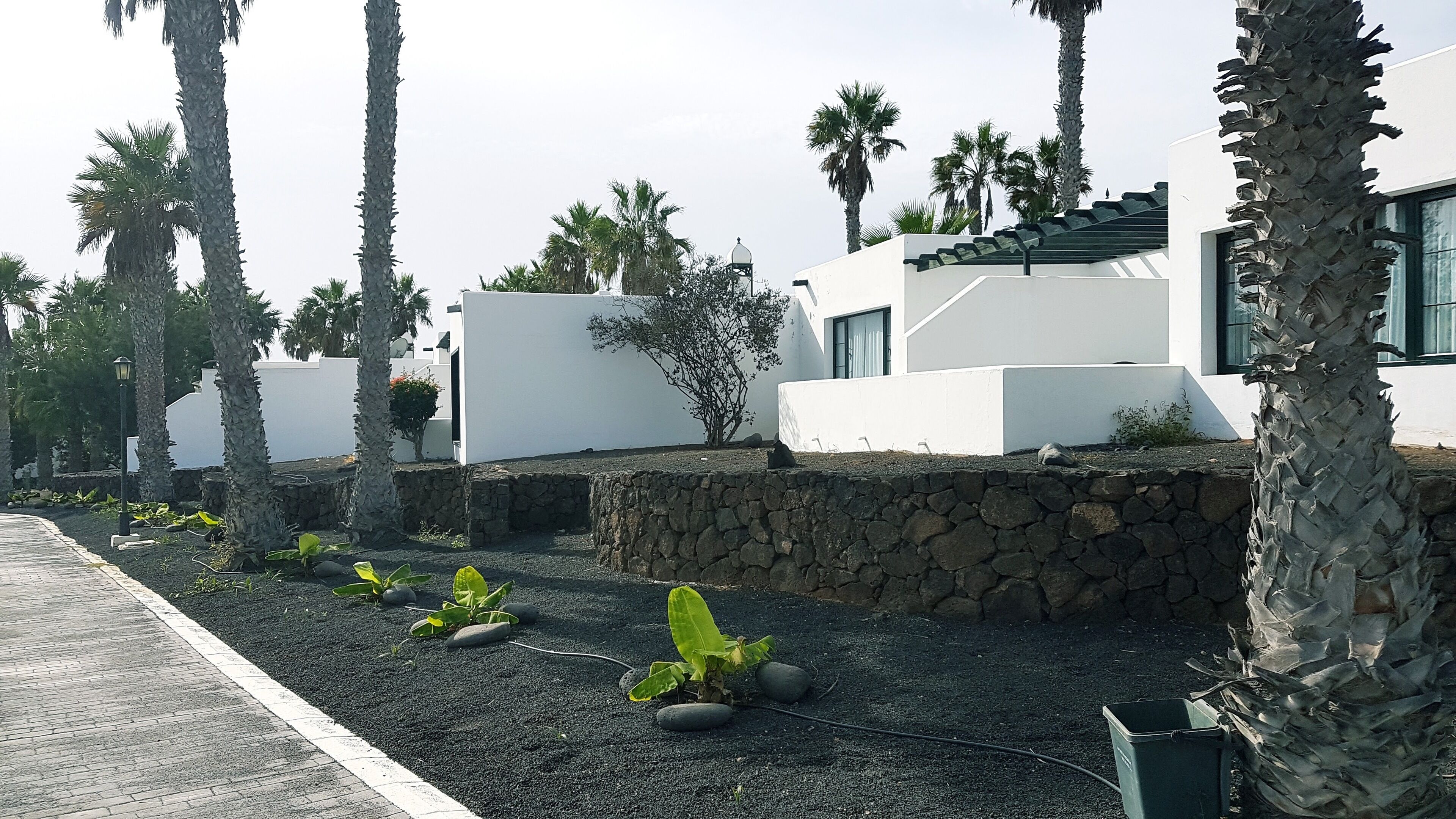 Un bâtiment moderne aux murs blancs et aux fondations en pierre, entouré de palmiers et d’un jardin aménagé avec de petites plantes et des rochers.