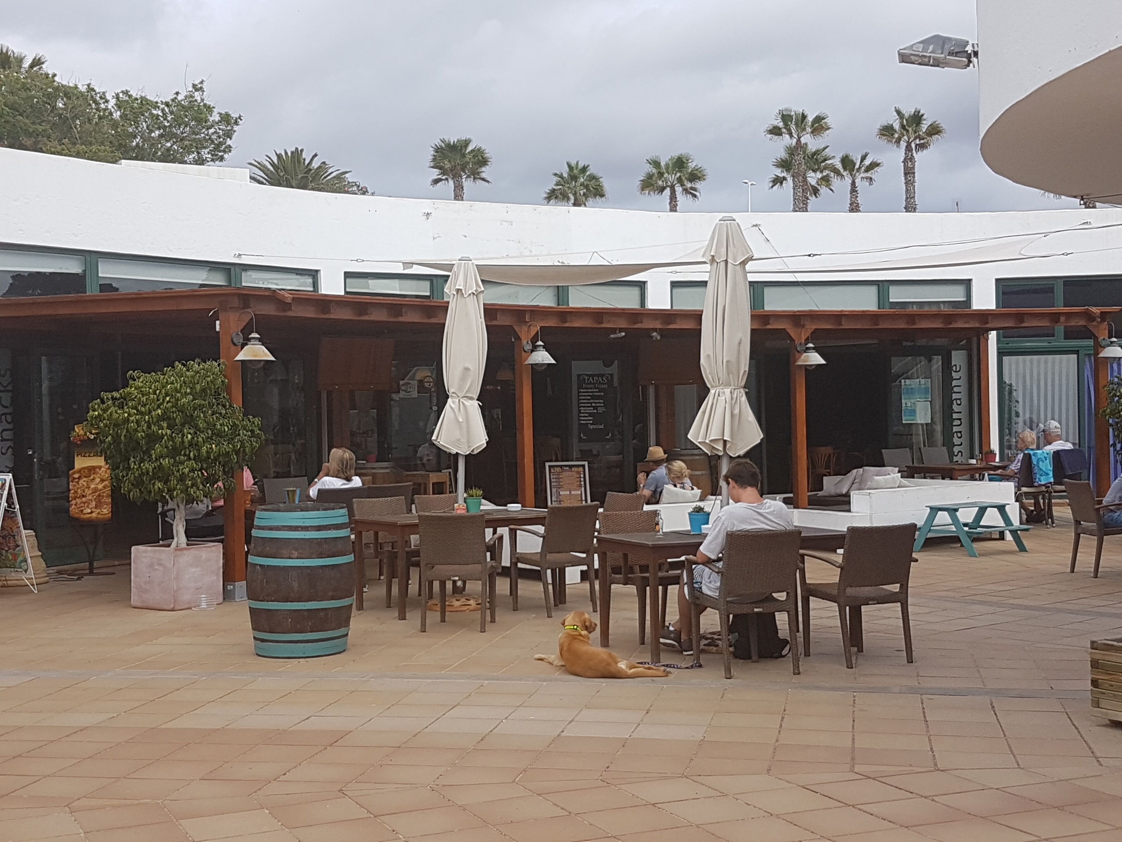 An outdoor cafe area with tables and chairs, umbrellas, and a dog lying on the ground.