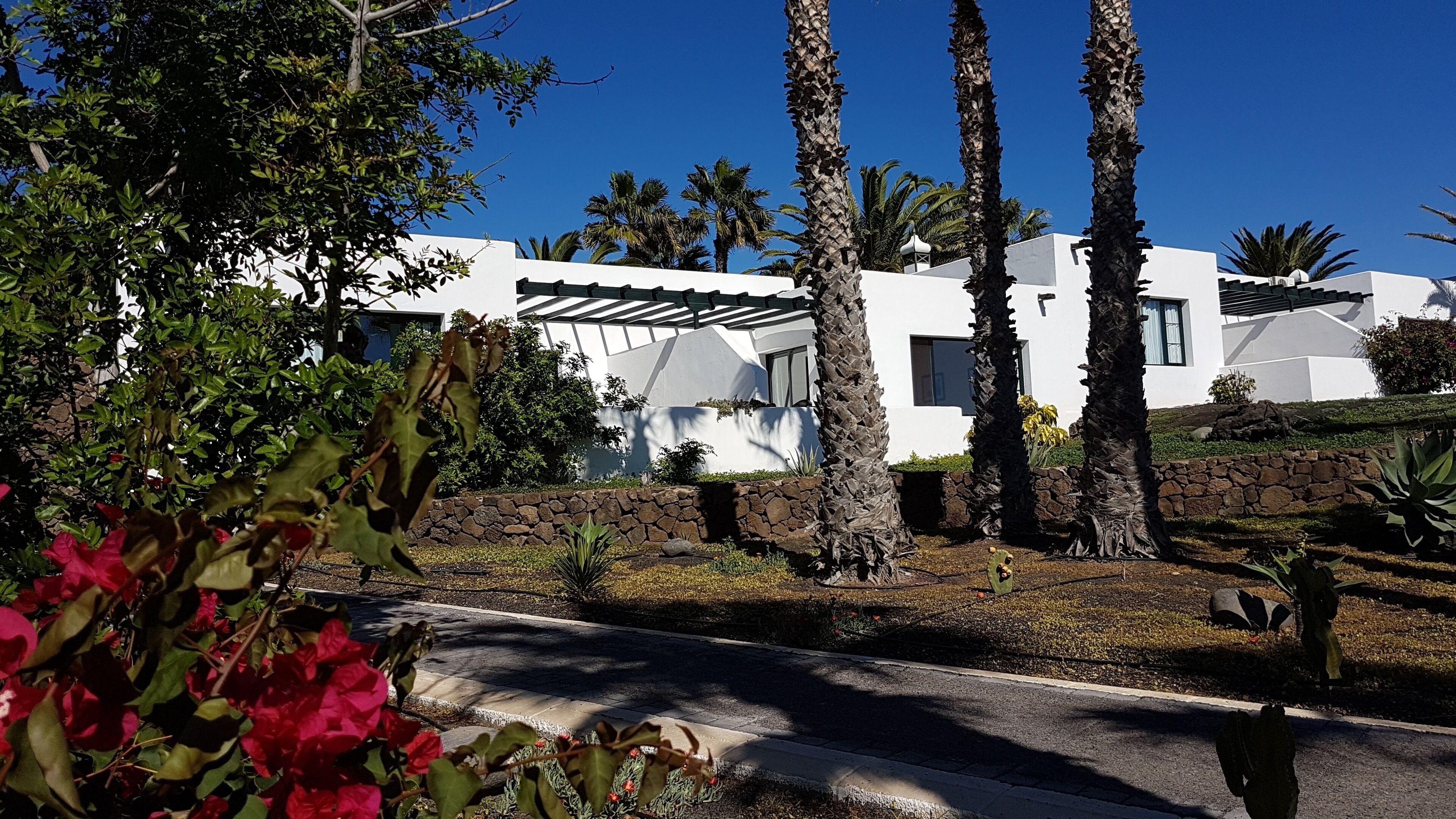 Un edificio moderno de color blanco, con una pared de piedra y palmeras.