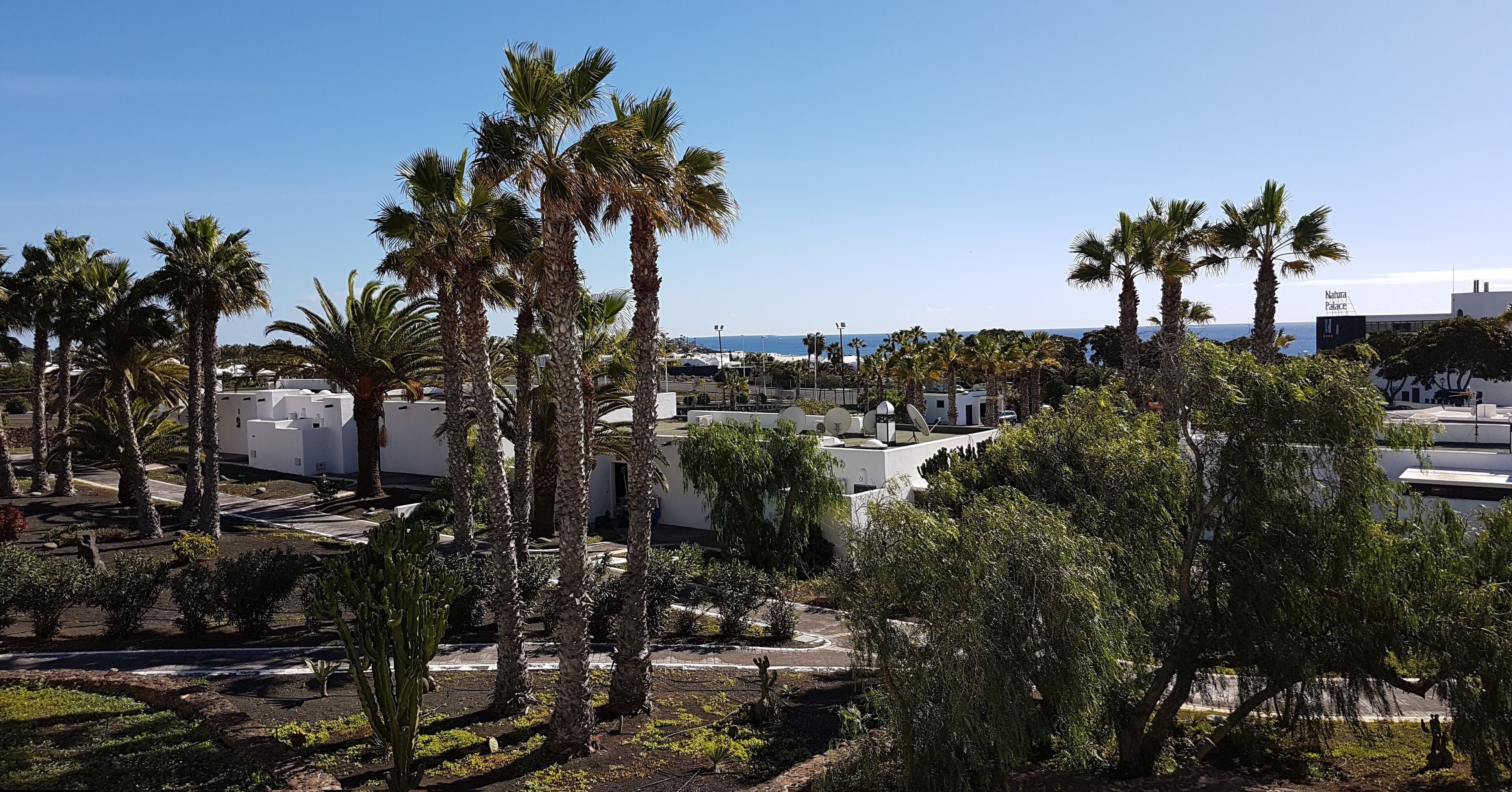 Zona turística con palmeras, piscina y vista al océano.
