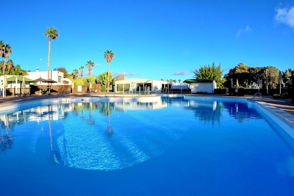 Outdoor pool, open 10:00 AM to 5:00 PM, pool umbrellas, sun loungers