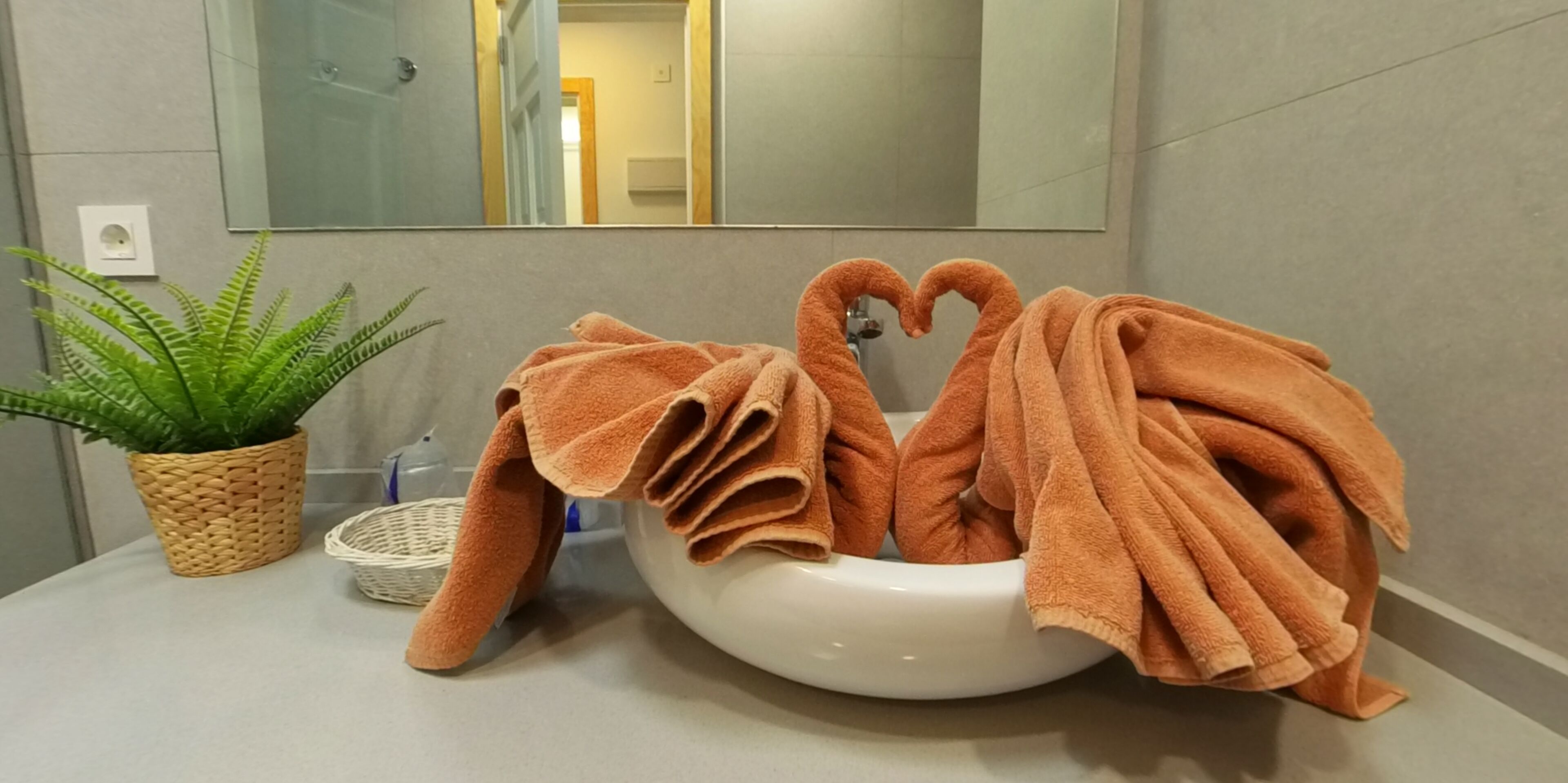 A bathroom with a white sink, a mirror, a potted plant, and a towel arranged in a heart shape.